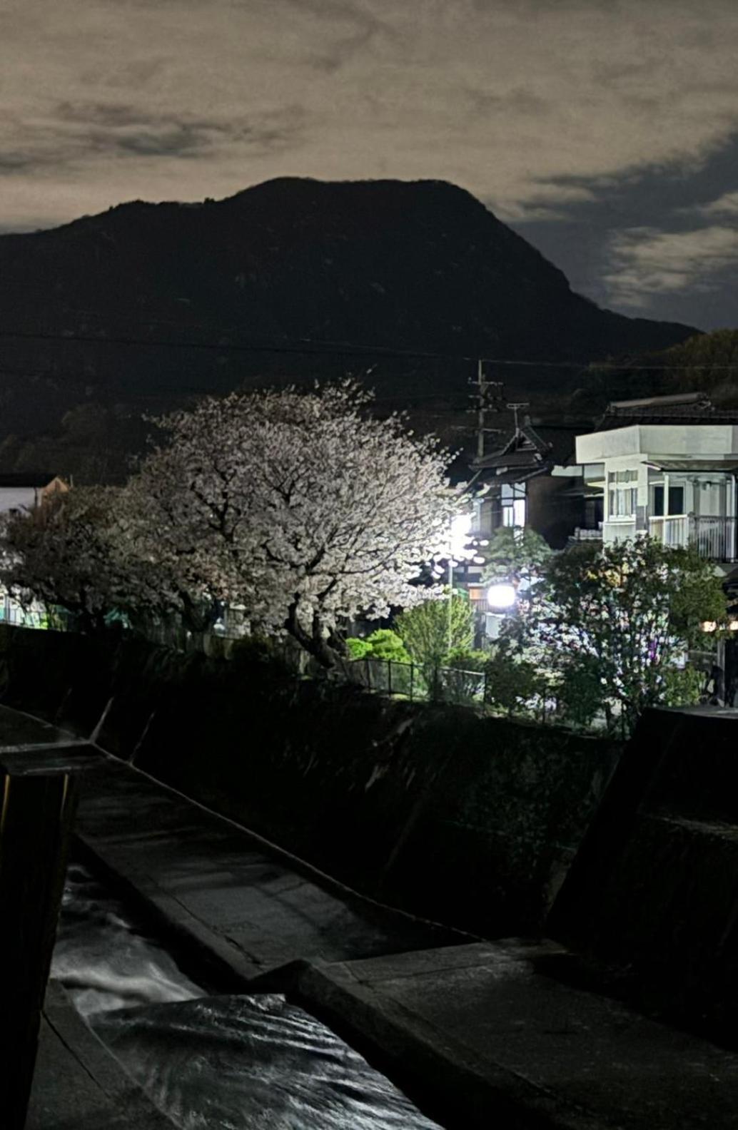 Sakichi Guest house 2*