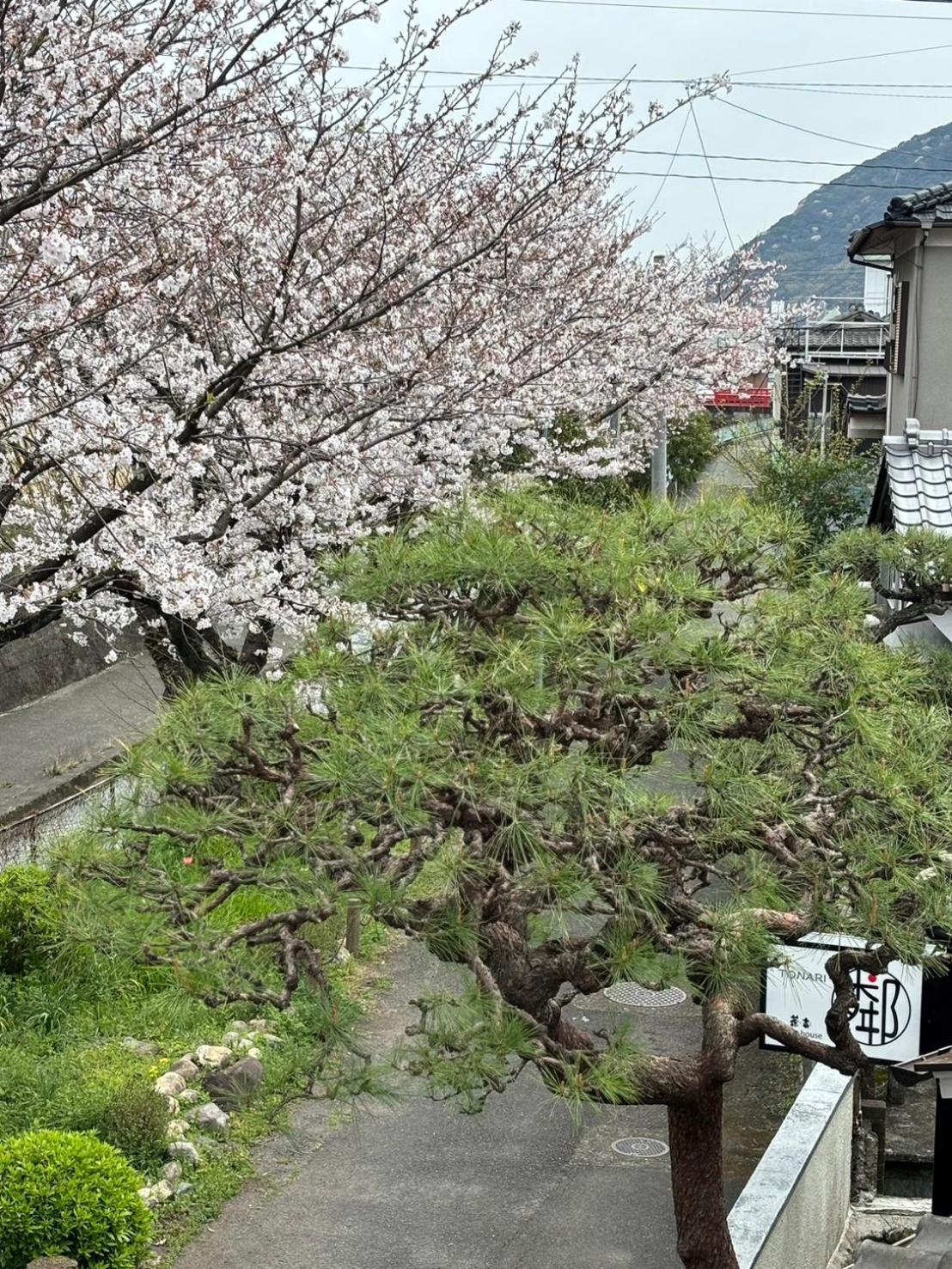 Sakichi Guest house Beppu